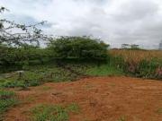 Terreno plano y delimitado – 3.000 m² en Las Brisas,...