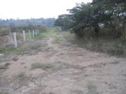 TERRENO PLANO Y GRANDE