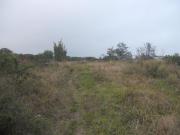 TERRENO PLANO Y GRANDE