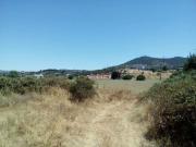 Terreno, Plasencia