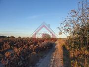 Terreno, Poceirão e Marateca