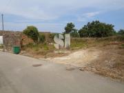 Terreno, Poiares Santo André, VILA NOVA DE POIARES | BPI...