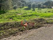 Terreno, Porto de Mós São João Baptista e São Pedro,...
