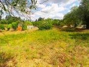 Terreno, Portunhos e Outil, Cantanhede | BPI Expresso...