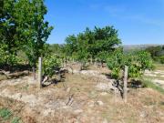 Terreno, Póvoa de Atalaia e Atalaia Do Campo, Fundão |...