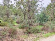 Terreno, Póvoa de Atalaia e Atalaia Do Campo, Fundão |...