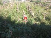 Terreno, Póvoa de Varzim, Beiriz e Argivai, Póvoa de...