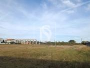 Terreno, Póvoa de Varzim, Beiriz e Argivai, Póvoa de...