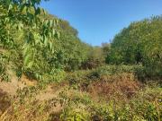 Terreno, Pozan de Vero