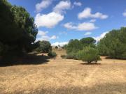 Terreno, Pozoantiguo