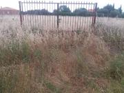 Terreno, Pozuelo de Calatrava