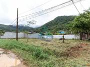 Terreno, Praia do Sapê, Ubatuba R$ 230 mil, Cod: 2182
