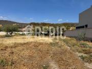 TERRENO PREMIUM FRENTE ÁREA VERDE EN ALTOZANO