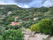 TERRENO PRODUCTIVO RURAL PUELLARO SECTOR ALCHIPICHÍ...