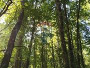 Terreno Pucón 2,7 Hectáreas Los Nevados