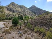 Terreno, Puebla de Don Fadrique