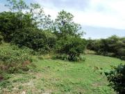 Terreno Pueblo Alpuyeca