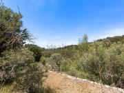 Terreno, Puigpunyent