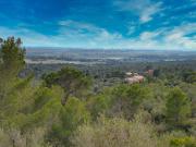 Terreno, Puntiró, Palma de Mallorca