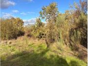 Terreno Qtª da Torre