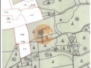 Terreno, Quelfes, Olhão | BPI Expresso Imobiliário