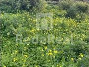 Terreno, Quelfes, Olhão | BPI Expresso Imobiliário