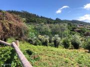 TERRENO / QUINTA COM 27.000 m