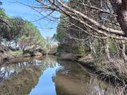 Terreno / Quinta com 6 hectares junto ao rio Boco Vagos