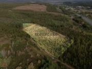 Terreno | Quinta do Acipreste, Antanhol