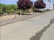 Terreno, Quiruelas de Vidriales