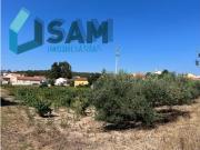 Terreno, Ramalhal, Torres Vedras | BPI Expresso Imobiliário