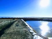 Terreno Rancho en venta, Parras Coah
