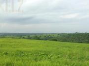 Terreno Rancho o rancheria Nuevo Progreso Terreno Rancho o rancheria Nuevo Progreso