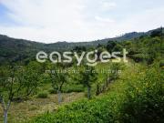 Terreno, Rapa e Cadafaz, Celorico da Beira | BPI...