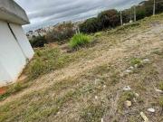 Terreno/Ãrea para aluguel, 3.900mÂ², Gameleira, Belo...