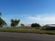 Terreno Real de San Carlos