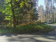 Terreno, Recardães e Espinhel