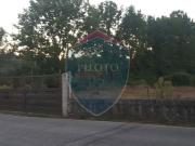 Terreno, Repeses e São Salvador, Viseu | BPI Expresso...