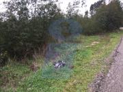 Terreno, Requeixo, Nossa Senhora de Fátima e Nariz,...