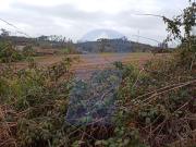 Terreno, Requeixo, Nossa Senhora de Fátima e Nariz,...