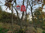 Terreno / Resende, Anreade e São Romão de Aregos