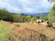 Terreno / Resende, Anreade e São Romão de Aregos