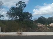 Terreno Residencial a unos metros de anillo periférico,...