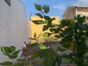 Terreno Residencial à venda no Parque Via Norte, Campinas/SP