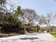 Terreno Residencial Boutique con Vigilancia y Casa Club