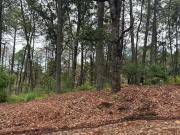 Terreno Residencial Campestre Fraccionamiento Bosques de...