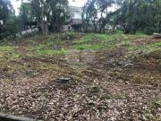 Terreno Residencial Campo Comprido Área Total: 1062 m²...