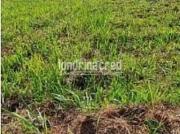 Terreno residencial de 250m² no Jardim Columbia D,... Terreno residencial de 250m² no Jardim Columbia D,...