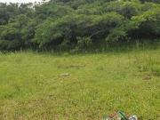 Terreno Residencial em Itapuã