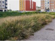 Terreno residencial en c/ Sant Jaume de Carlet